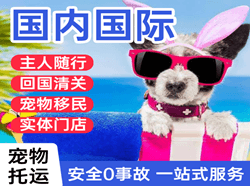 珠海机场快运国际宠物托运 【国